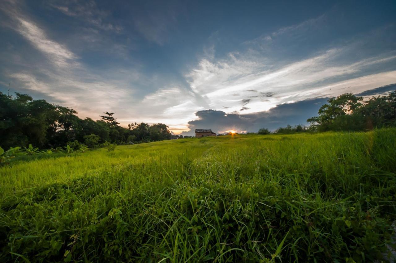 The Lebak Canggu المظهر الخارجي الصورة