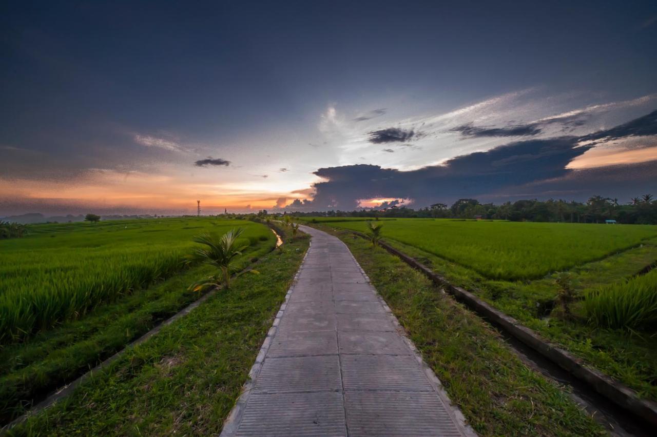The Lebak Canggu المظهر الخارجي الصورة